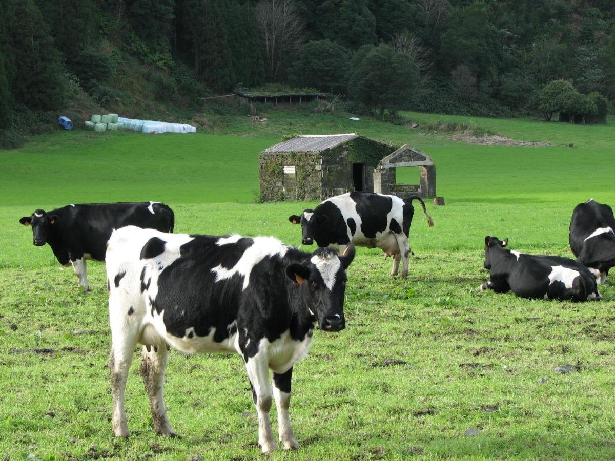 Casa Da Tia Luisa Βίλα Furnas  Εξωτερικό φωτογραφία